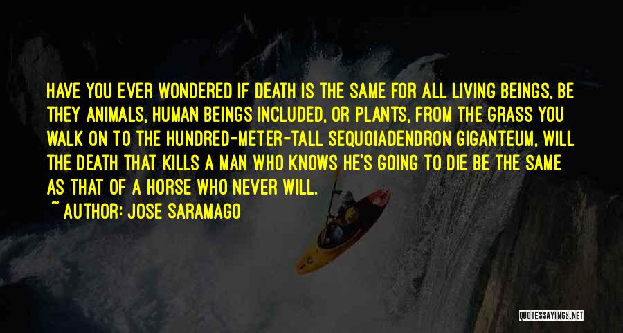 Jose Saramago Quotes: Have You Ever Wondered If Death Is The Same For All Living Beings, Be They Animals, Human Beings Included, Or