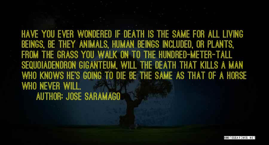 Jose Saramago Quotes: Have You Ever Wondered If Death Is The Same For All Living Beings, Be They Animals, Human Beings Included, Or