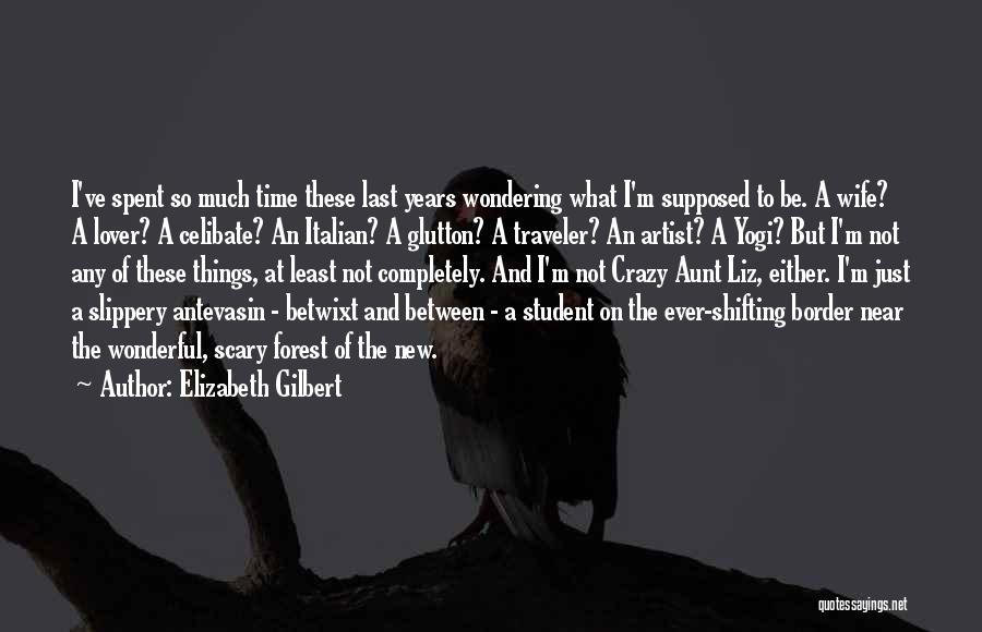 Elizabeth Gilbert Quotes: I've Spent So Much Time These Last Years Wondering What I'm Supposed To Be. A Wife? A Lover? A Celibate?
