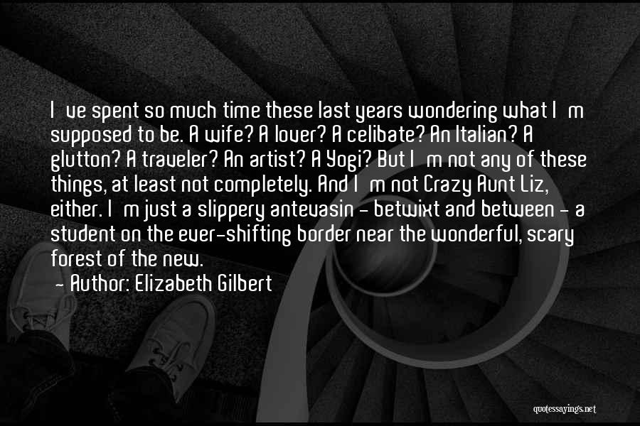 Elizabeth Gilbert Quotes: I've Spent So Much Time These Last Years Wondering What I'm Supposed To Be. A Wife? A Lover? A Celibate?