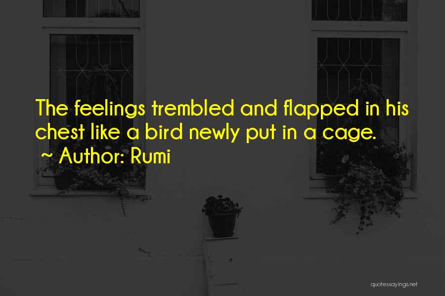 Rumi Quotes: The Feelings Trembled And Flapped In His Chest Like A Bird Newly Put In A Cage.