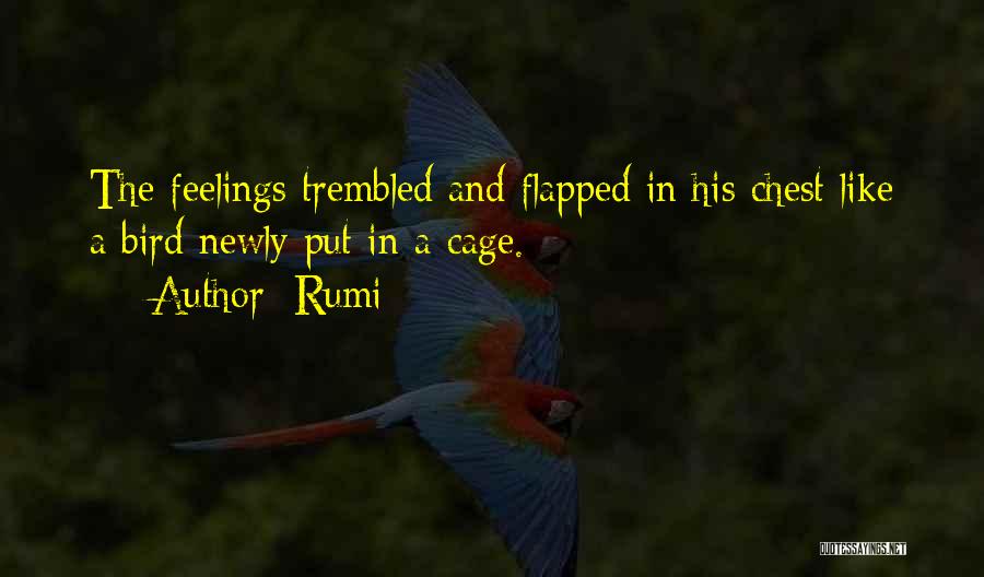 Rumi Quotes: The Feelings Trembled And Flapped In His Chest Like A Bird Newly Put In A Cage.