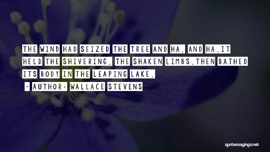 Wallace Stevens Quotes: The Wind Had Seized The Tree And Ha, And Ha,it Held The Shivering, The Shaken Limbs,then Bathed Its Body In