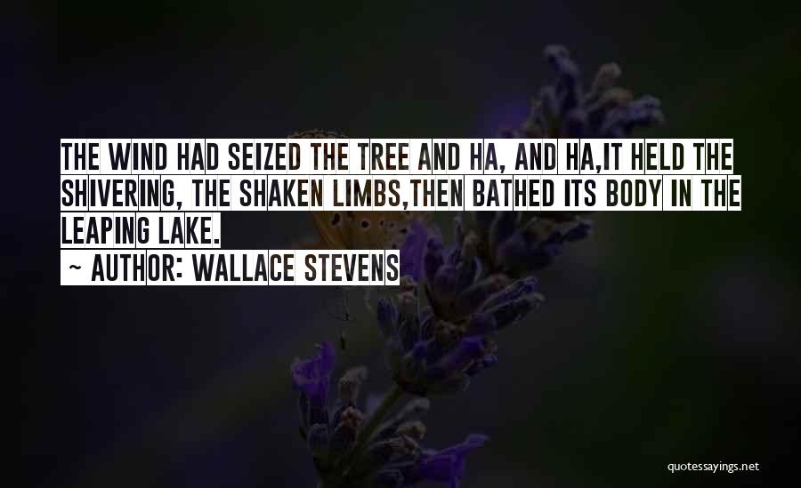 Wallace Stevens Quotes: The Wind Had Seized The Tree And Ha, And Ha,it Held The Shivering, The Shaken Limbs,then Bathed Its Body In