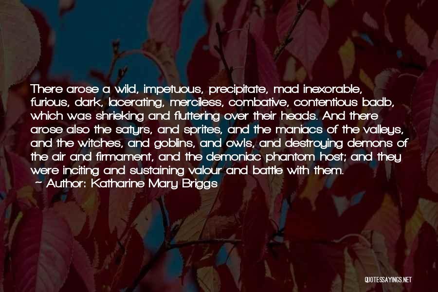 Katharine Mary Briggs Quotes: There Arose A Wild, Impetuous, Precipitate, Mad Inexorable, Furious, Dark, Lacerating, Merciless, Combative, Contentious Badb, Which Was Shrieking And Fluttering