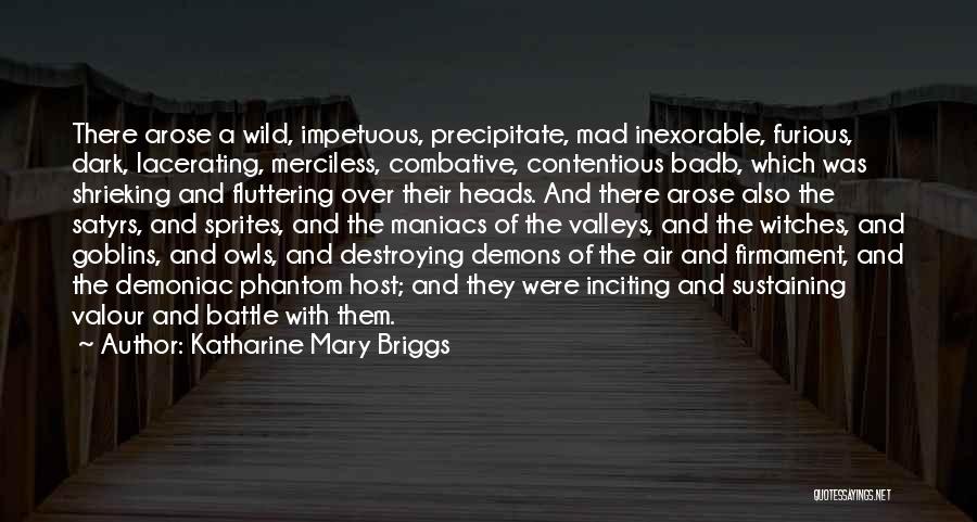 Katharine Mary Briggs Quotes: There Arose A Wild, Impetuous, Precipitate, Mad Inexorable, Furious, Dark, Lacerating, Merciless, Combative, Contentious Badb, Which Was Shrieking And Fluttering