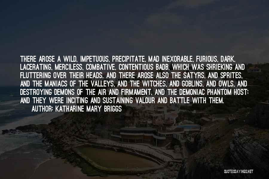 Katharine Mary Briggs Quotes: There Arose A Wild, Impetuous, Precipitate, Mad Inexorable, Furious, Dark, Lacerating, Merciless, Combative, Contentious Badb, Which Was Shrieking And Fluttering