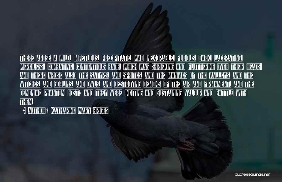 Katharine Mary Briggs Quotes: There Arose A Wild, Impetuous, Precipitate, Mad Inexorable, Furious, Dark, Lacerating, Merciless, Combative, Contentious Badb, Which Was Shrieking And Fluttering