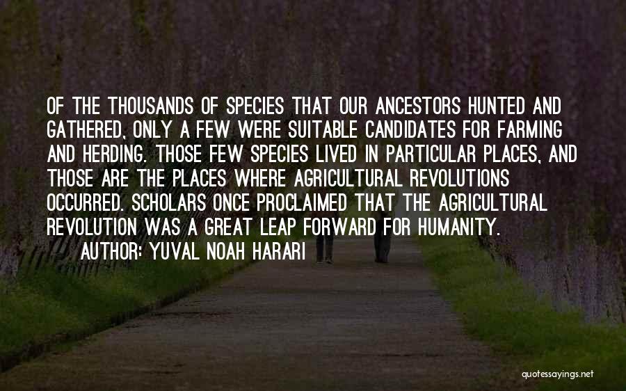 Yuval Noah Harari Quotes: Of The Thousands Of Species That Our Ancestors Hunted And Gathered, Only A Few Were Suitable Candidates For Farming And