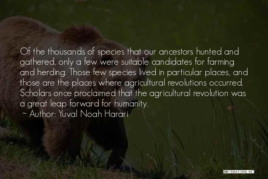 Yuval Noah Harari Quotes: Of The Thousands Of Species That Our Ancestors Hunted And Gathered, Only A Few Were Suitable Candidates For Farming And