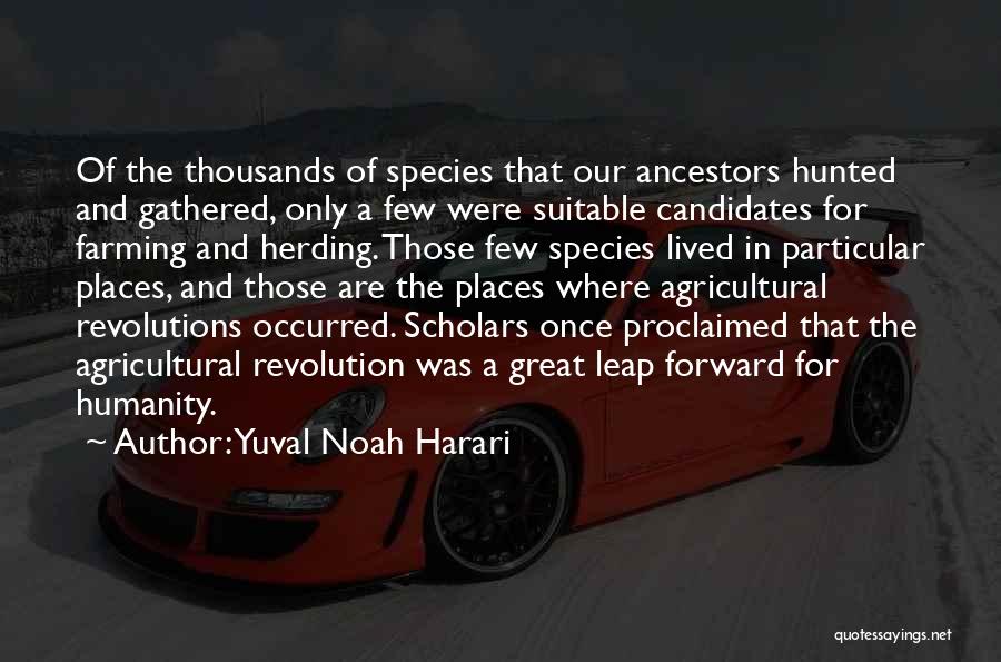 Yuval Noah Harari Quotes: Of The Thousands Of Species That Our Ancestors Hunted And Gathered, Only A Few Were Suitable Candidates For Farming And