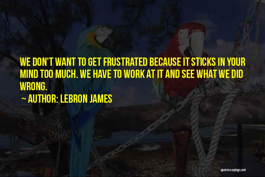 LeBron James Quotes: We Don't Want To Get Frustrated Because It Sticks In Your Mind Too Much. We Have To Work At It