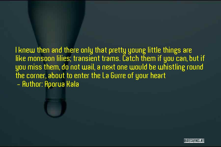 Aporva Kala Quotes: I Knew Then And There Only That Pretty Young Little Things Are Like Monsoon Lilies; Transient Trams. Catch Them If