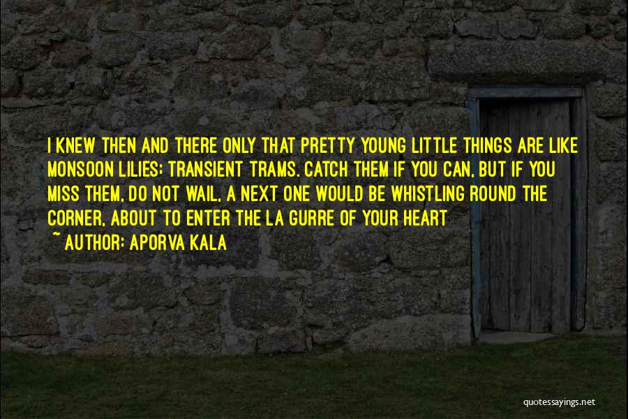 Aporva Kala Quotes: I Knew Then And There Only That Pretty Young Little Things Are Like Monsoon Lilies; Transient Trams. Catch Them If