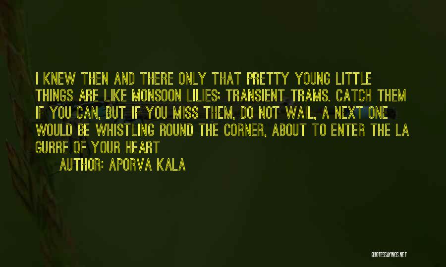 Aporva Kala Quotes: I Knew Then And There Only That Pretty Young Little Things Are Like Monsoon Lilies; Transient Trams. Catch Them If