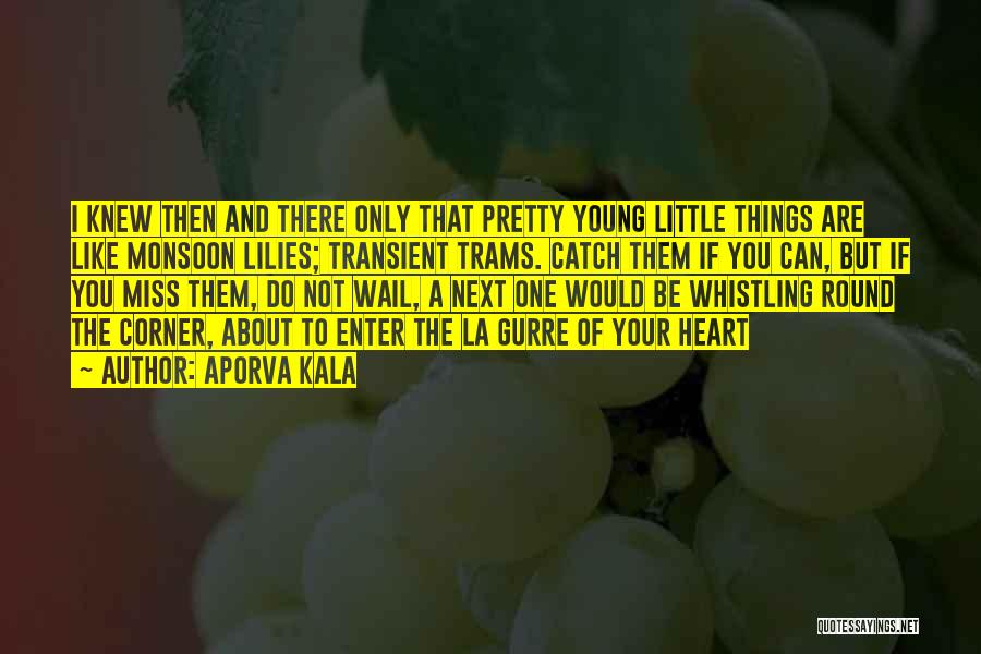 Aporva Kala Quotes: I Knew Then And There Only That Pretty Young Little Things Are Like Monsoon Lilies; Transient Trams. Catch Them If