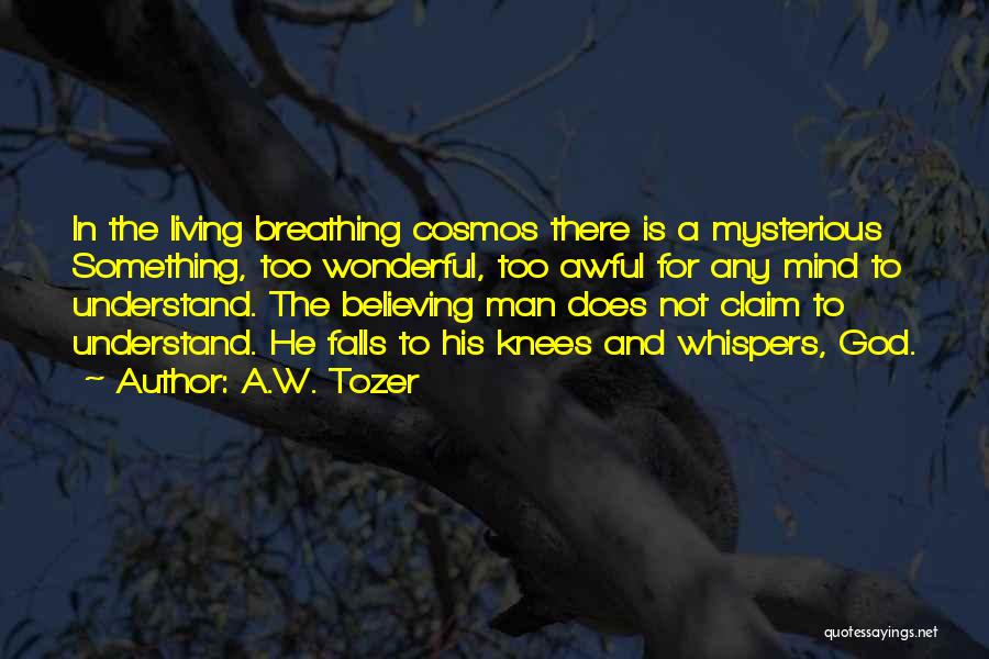 A.W. Tozer Quotes: In The Living Breathing Cosmos There Is A Mysterious Something, Too Wonderful, Too Awful For Any Mind To Understand. The