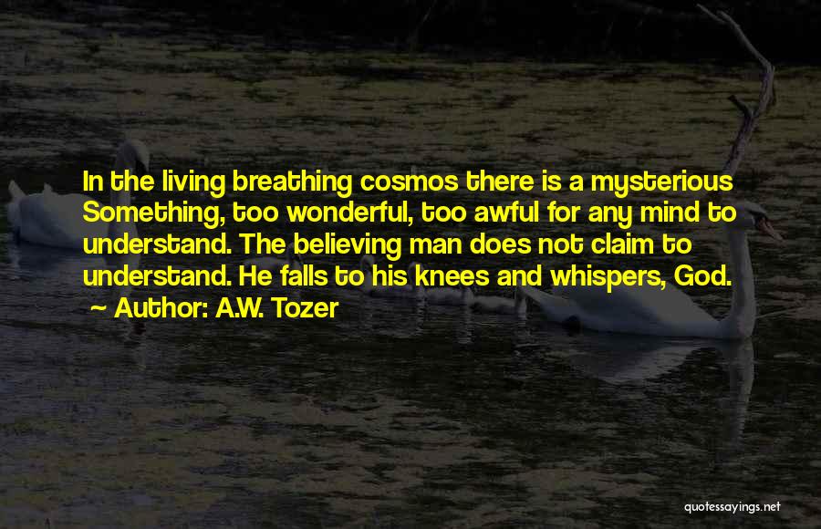 A.W. Tozer Quotes: In The Living Breathing Cosmos There Is A Mysterious Something, Too Wonderful, Too Awful For Any Mind To Understand. The