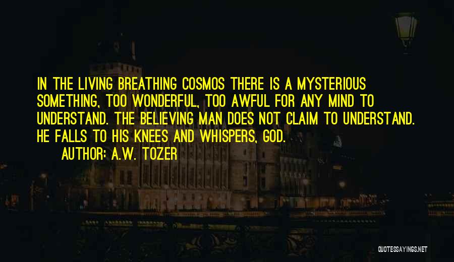 A.W. Tozer Quotes: In The Living Breathing Cosmos There Is A Mysterious Something, Too Wonderful, Too Awful For Any Mind To Understand. The