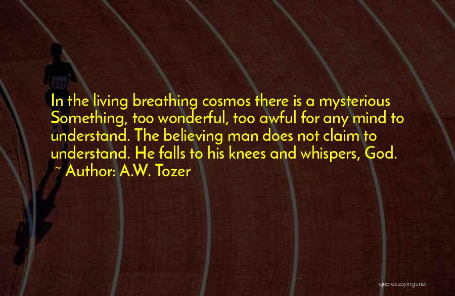 A.W. Tozer Quotes: In The Living Breathing Cosmos There Is A Mysterious Something, Too Wonderful, Too Awful For Any Mind To Understand. The