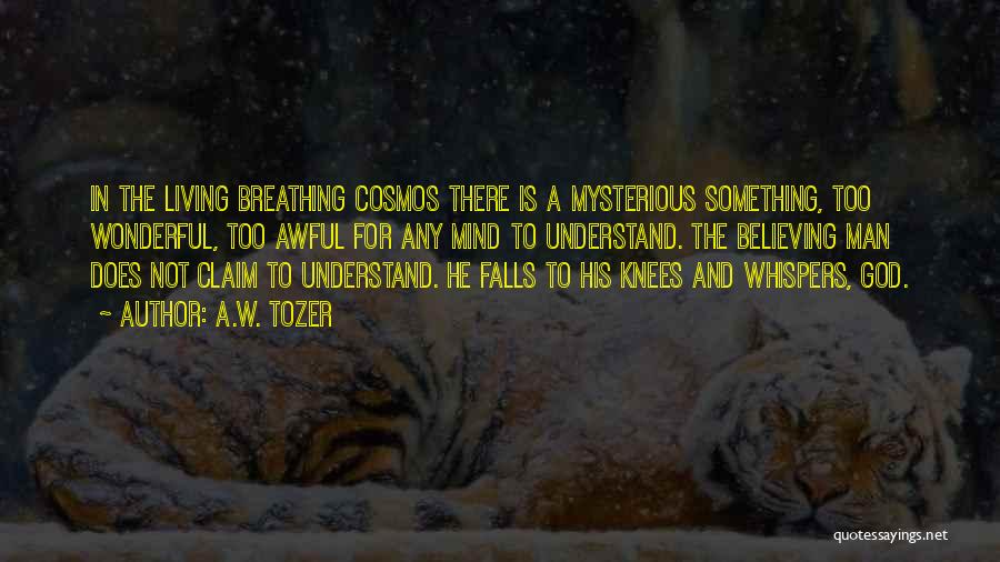 A.W. Tozer Quotes: In The Living Breathing Cosmos There Is A Mysterious Something, Too Wonderful, Too Awful For Any Mind To Understand. The
