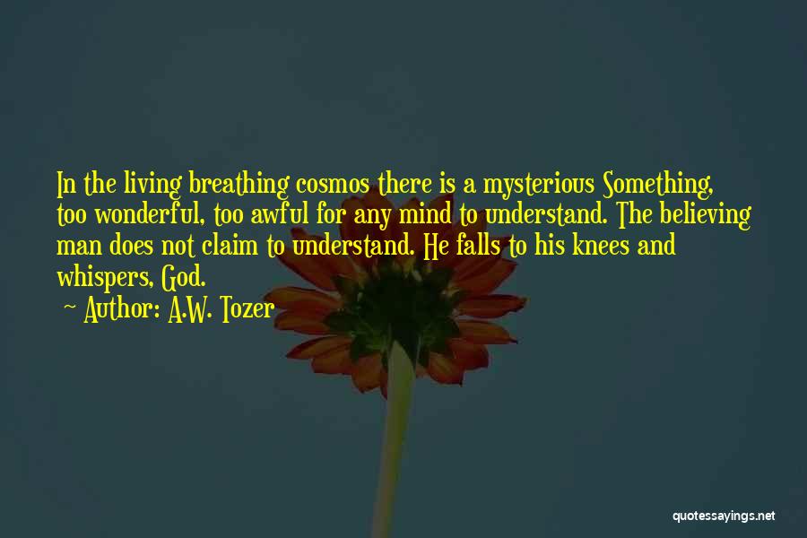 A.W. Tozer Quotes: In The Living Breathing Cosmos There Is A Mysterious Something, Too Wonderful, Too Awful For Any Mind To Understand. The