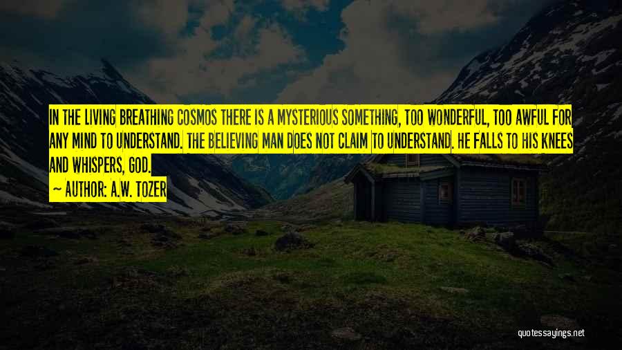 A.W. Tozer Quotes: In The Living Breathing Cosmos There Is A Mysterious Something, Too Wonderful, Too Awful For Any Mind To Understand. The