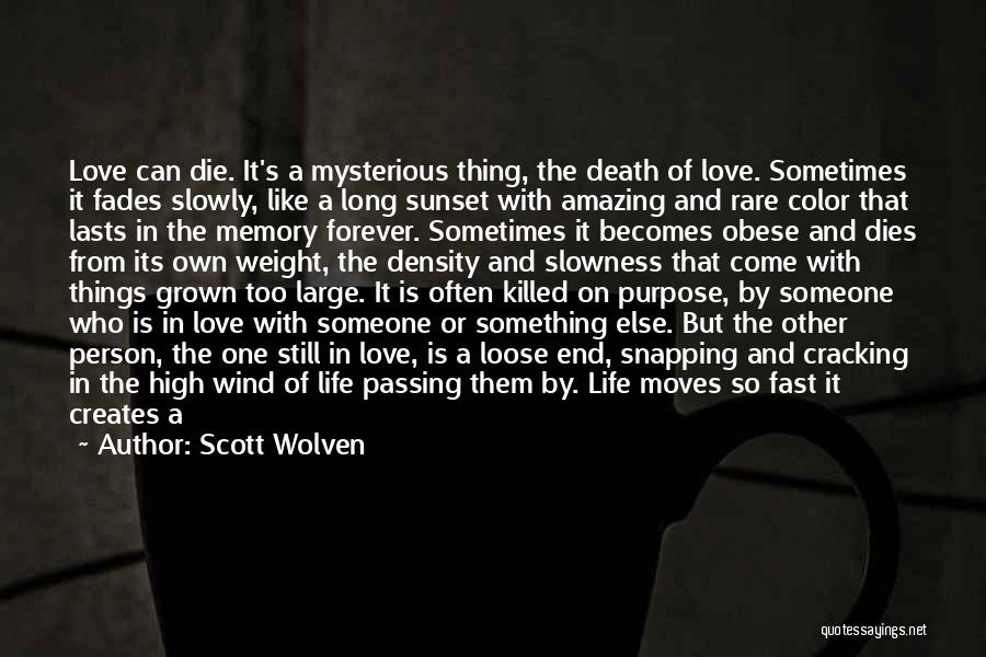 Scott Wolven Quotes: Love Can Die. It's A Mysterious Thing, The Death Of Love. Sometimes It Fades Slowly, Like A Long Sunset With