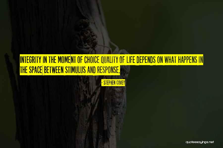 1966 Blizzard Quotes By Stephen Covey 1966 Blizzard Quotes By Stephen Covey