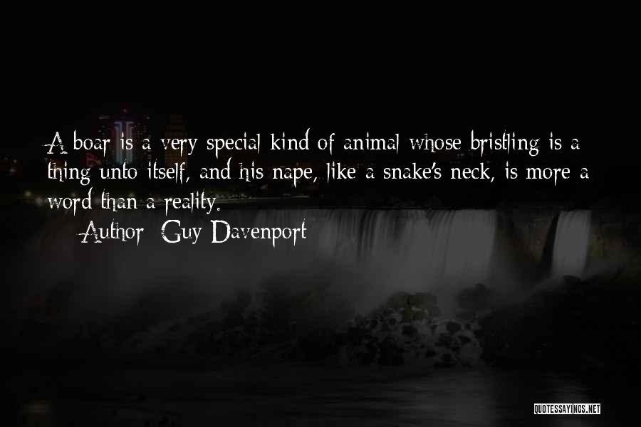 Guy Davenport Quotes: A Boar Is A Very Special Kind Of Animal Whose Bristling Is A Thing Unto Itself, And His Nape, Like