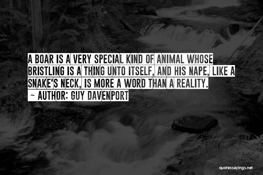 Guy Davenport Quotes: A Boar Is A Very Special Kind Of Animal Whose Bristling Is A Thing Unto Itself, And His Nape, Like