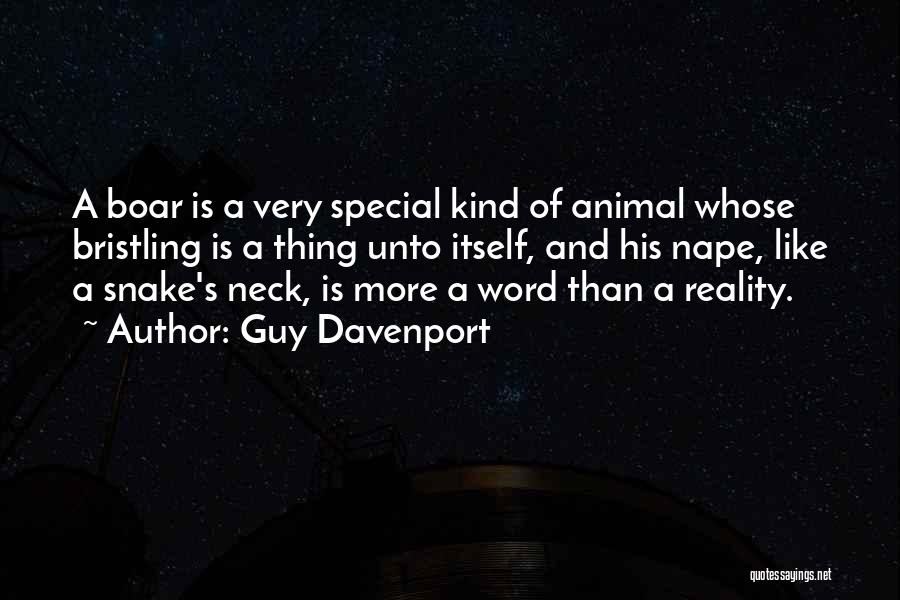 Guy Davenport Quotes: A Boar Is A Very Special Kind Of Animal Whose Bristling Is A Thing Unto Itself, And His Nape, Like