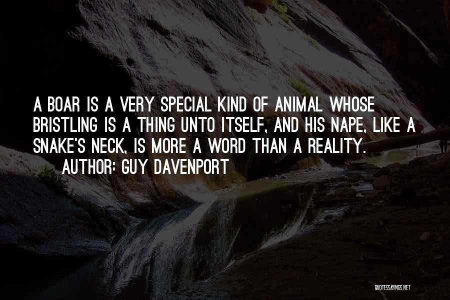 Guy Davenport Quotes: A Boar Is A Very Special Kind Of Animal Whose Bristling Is A Thing Unto Itself, And His Nape, Like