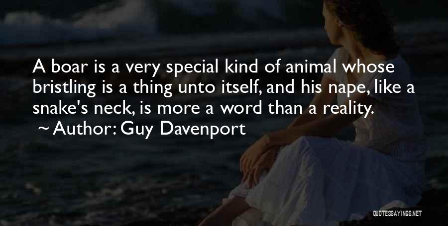 Guy Davenport Quotes: A Boar Is A Very Special Kind Of Animal Whose Bristling Is A Thing Unto Itself, And His Nape, Like