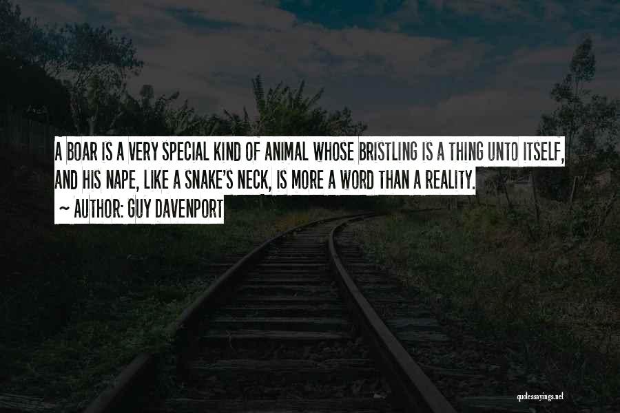 Guy Davenport Quotes: A Boar Is A Very Special Kind Of Animal Whose Bristling Is A Thing Unto Itself, And His Nape, Like