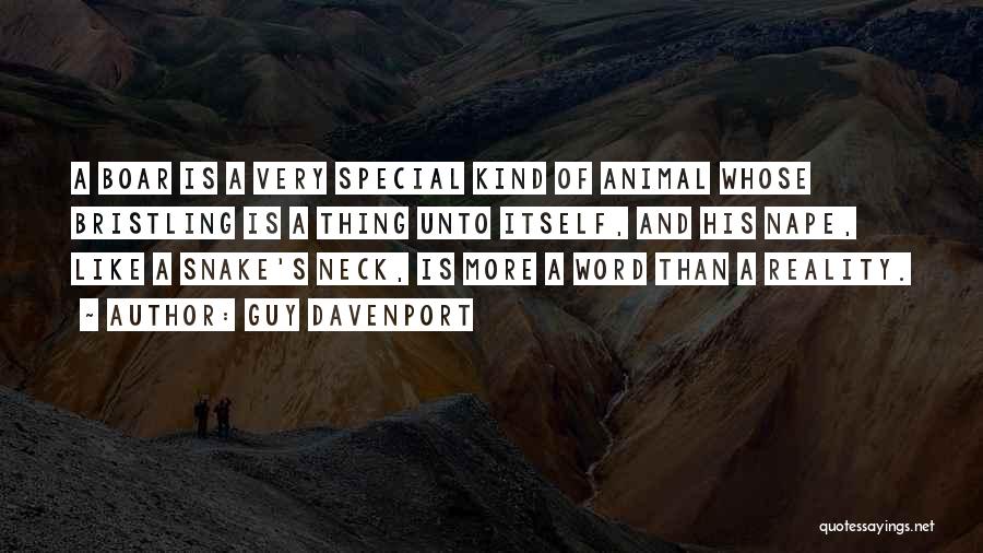 Guy Davenport Quotes: A Boar Is A Very Special Kind Of Animal Whose Bristling Is A Thing Unto Itself, And His Nape, Like