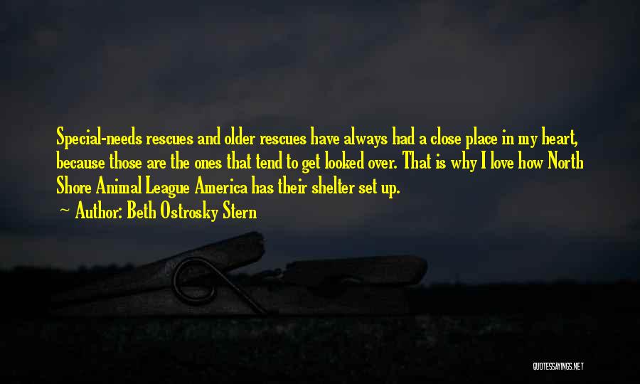 Beth Ostrosky Stern Quotes: Special-needs Rescues And Older Rescues Have Always Had A Close Place In My Heart, Because Those Are The Ones That