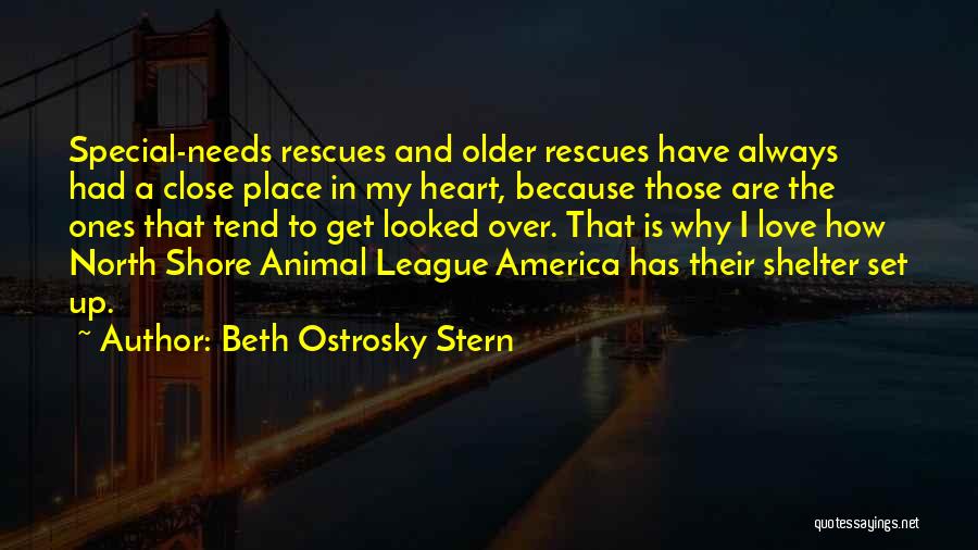 Beth Ostrosky Stern Quotes: Special-needs Rescues And Older Rescues Have Always Had A Close Place In My Heart, Because Those Are The Ones That