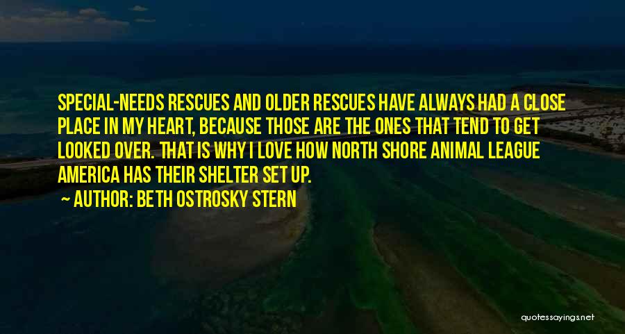 Beth Ostrosky Stern Quotes: Special-needs Rescues And Older Rescues Have Always Had A Close Place In My Heart, Because Those Are The Ones That