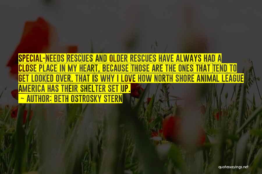 Beth Ostrosky Stern Quotes: Special-needs Rescues And Older Rescues Have Always Had A Close Place In My Heart, Because Those Are The Ones That