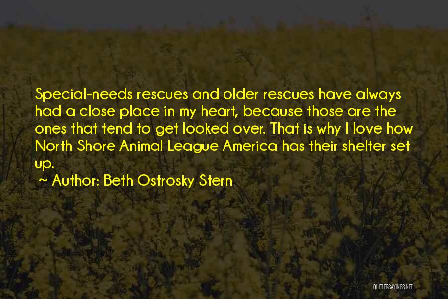 Beth Ostrosky Stern Quotes: Special-needs Rescues And Older Rescues Have Always Had A Close Place In My Heart, Because Those Are The Ones That