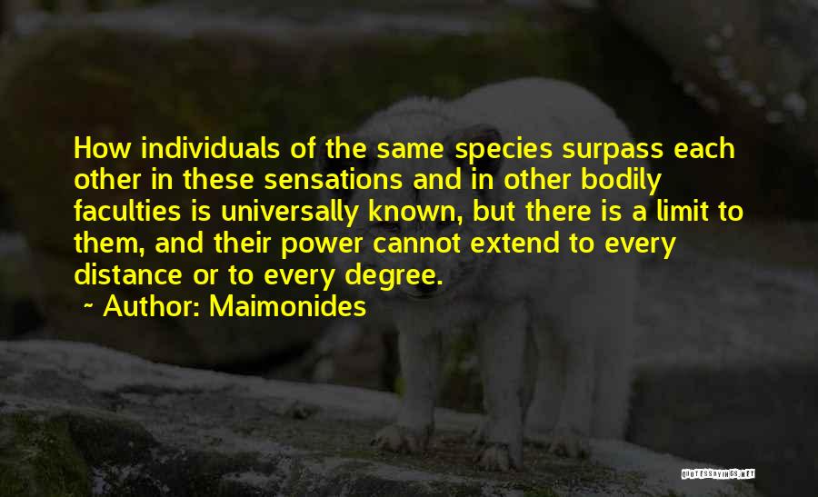 Maimonides Quotes: How Individuals Of The Same Species Surpass Each Other In These Sensations And In Other Bodily Faculties Is Universally Known,