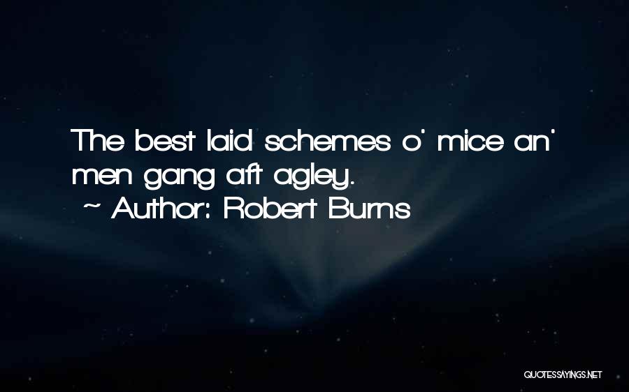 Robert Burns Quotes: The Best Laid Schemes O' Mice An' Men Gang Aft Agley.