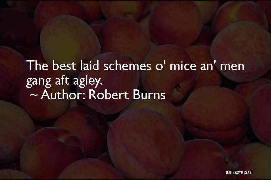 Robert Burns Quotes: The Best Laid Schemes O' Mice An' Men Gang Aft Agley.