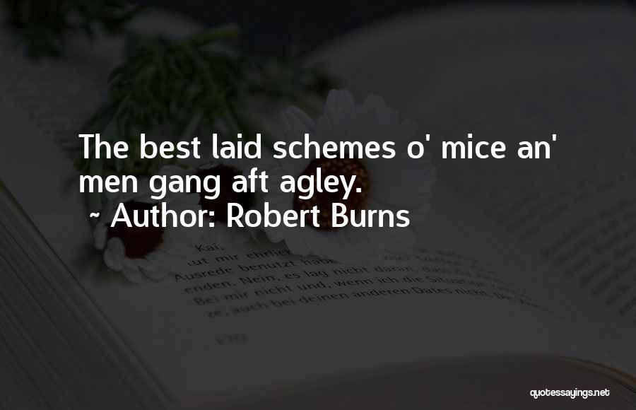 Robert Burns Quotes: The Best Laid Schemes O' Mice An' Men Gang Aft Agley.