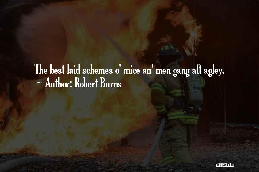 Robert Burns Quotes: The Best Laid Schemes O' Mice An' Men Gang Aft Agley.