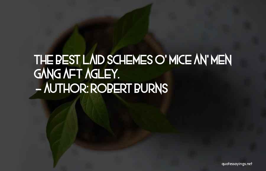 Robert Burns Quotes: The Best Laid Schemes O' Mice An' Men Gang Aft Agley.