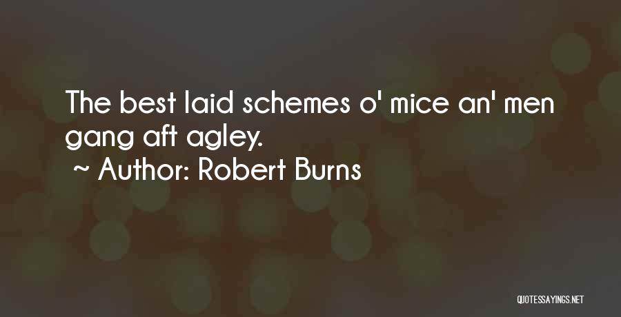 Robert Burns Quotes: The Best Laid Schemes O' Mice An' Men Gang Aft Agley.