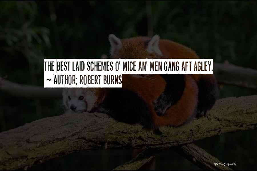 Robert Burns Quotes: The Best Laid Schemes O' Mice An' Men Gang Aft Agley.