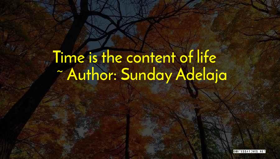 Sunday Adelaja Quotes: Time Is The Content Of Life